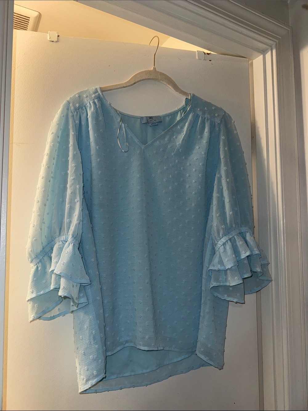 CeCe Light Blue Swiss Dot Ruffle Sleeve Blouse